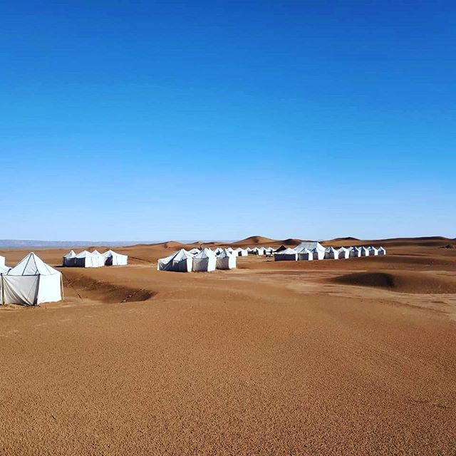 #glampingmorocco #yogaglampingmorocco #philanthropic #cooltents #desertadventure #deserttours #cameladventure #womenscooperative #ancientdesertsecrets