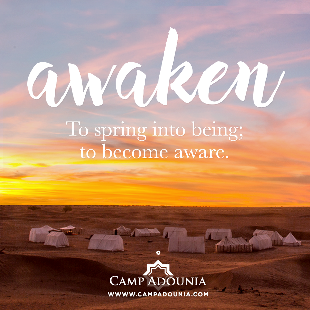 Camp-Adounia-Sand-Dunes-Camp-Morocco-Awaken.png
