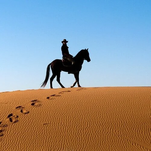 image-asset (1).jpeg