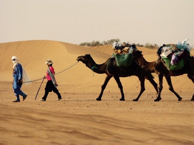camel-tour-sahara.jpg