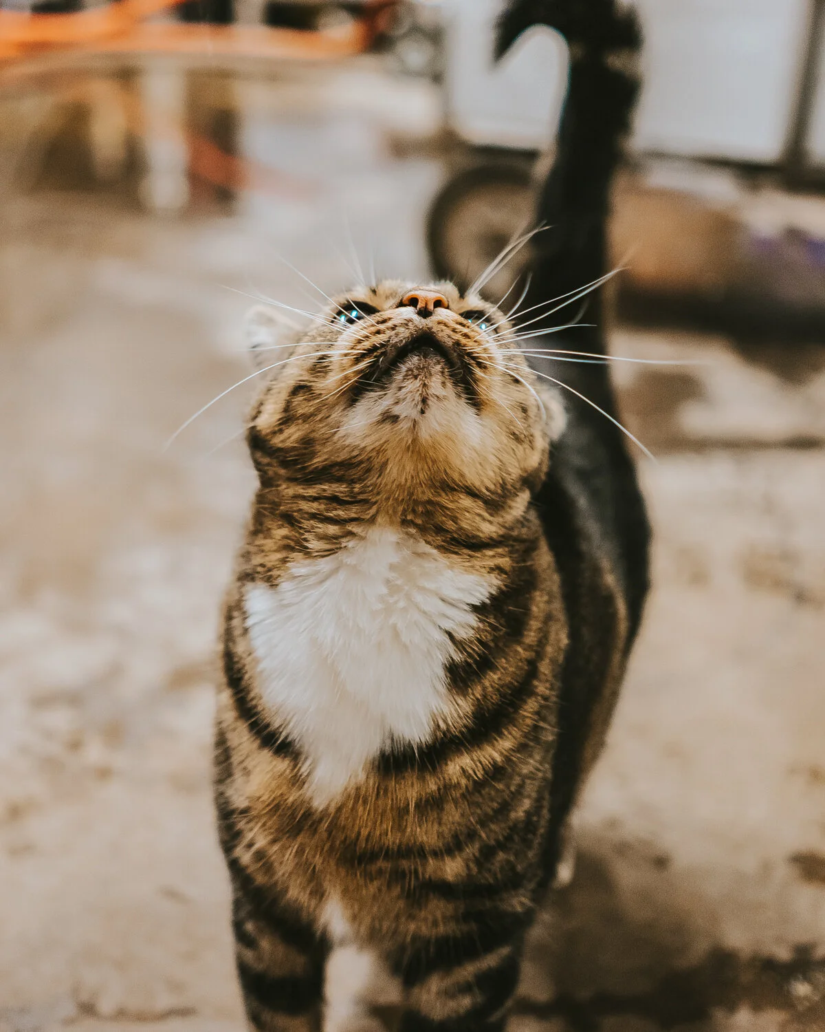2019_11_05_KikiVassilakis_WEQXSpecialEdition_sm (6 of 40).jpg