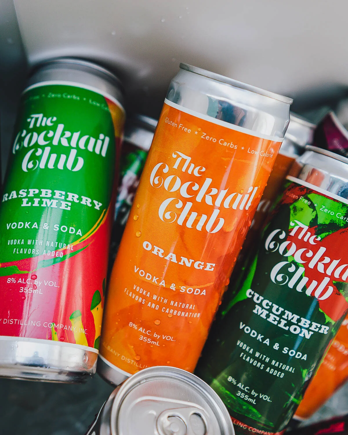 2019_08_05_kikivassilakis_adco_picnic_sm (3 of 131).jpeg