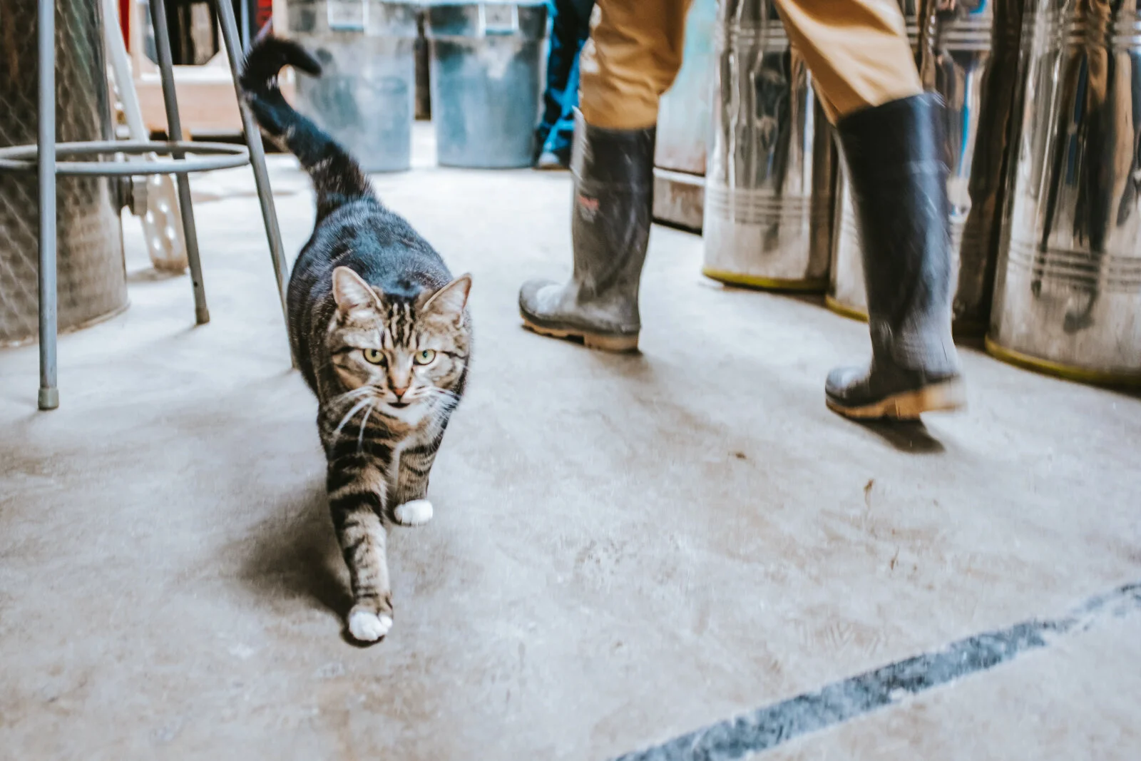 ADCo-DistillerforaDay-01 (3 of 28).jpeg