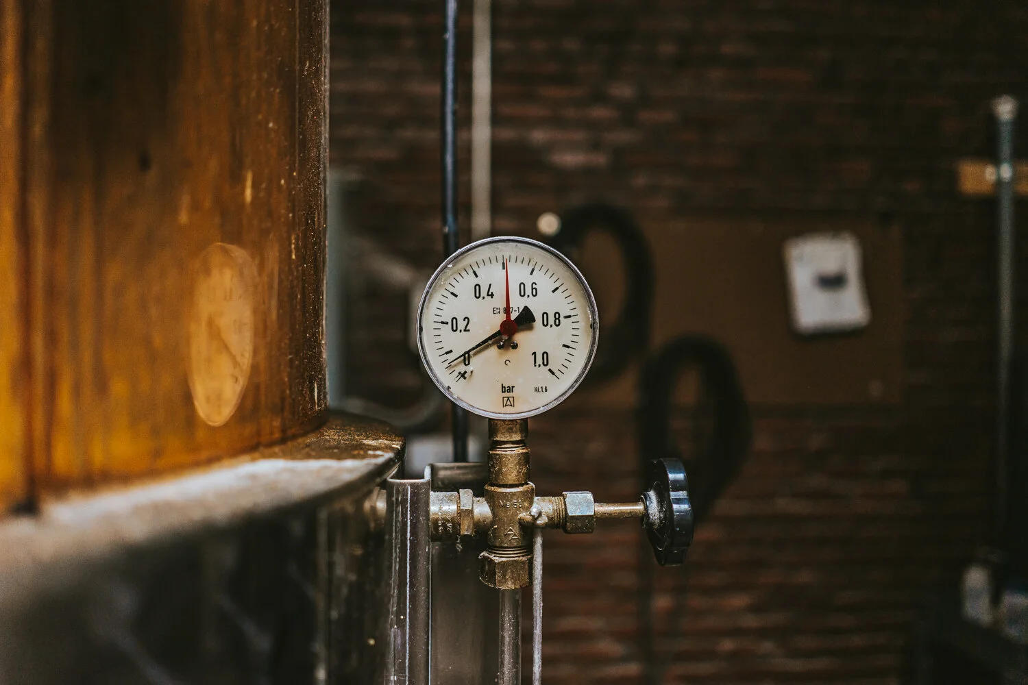 2019_11_14_kikivassilakis_adco_whiskeytransfer_cats_sm (11 of 27).jpeg