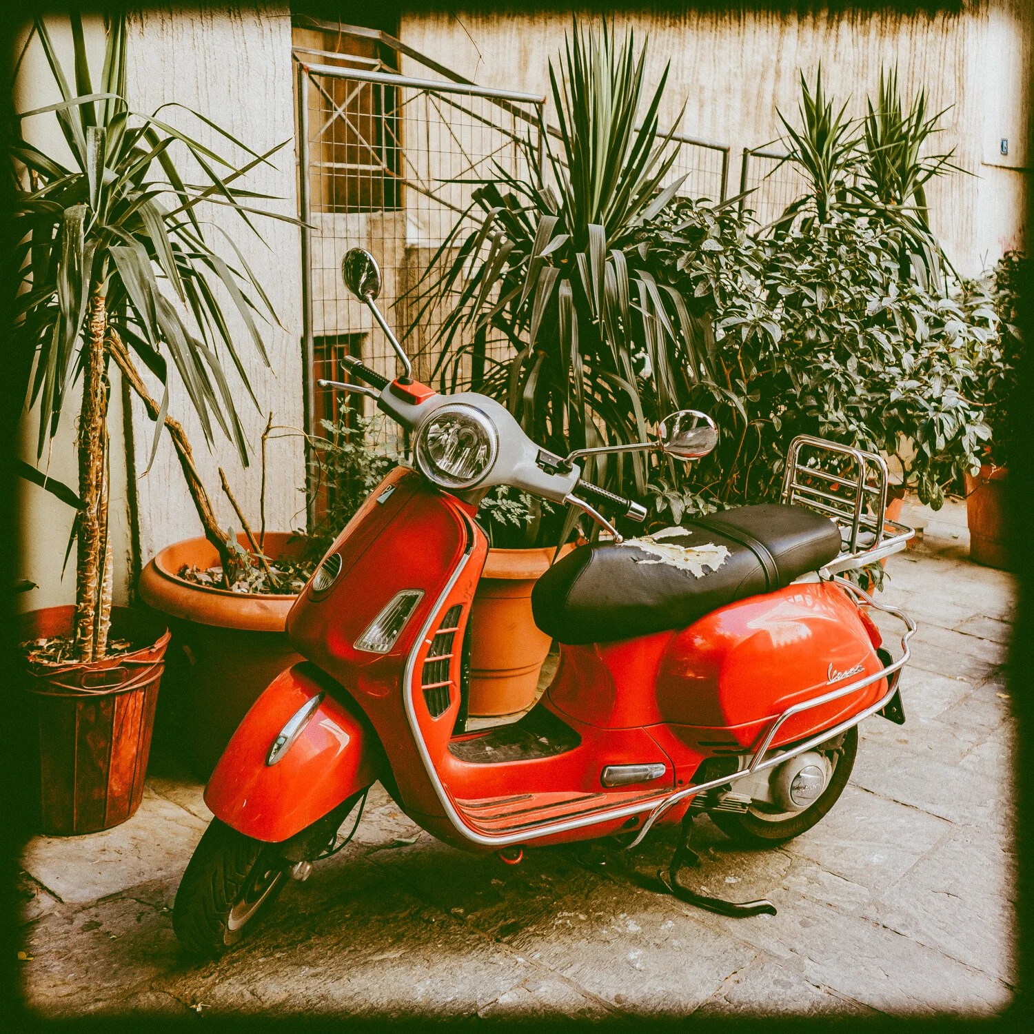 2019_08_KikiVassilakis_Honeymoon_sm (465 of 528).jpg