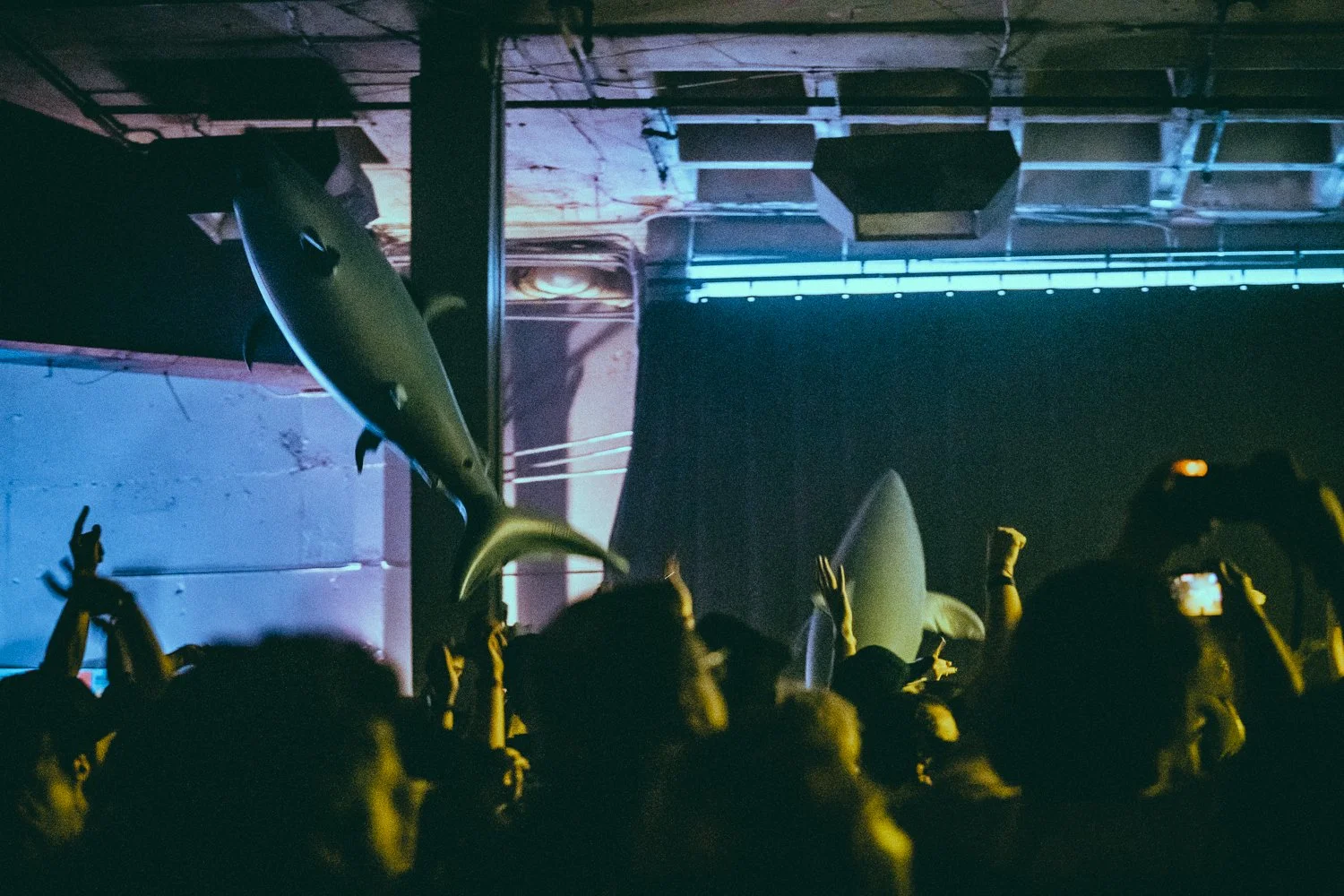 2022_06_24_KikiVassilakis_TheAquabats_sm (91 of 95).jpg