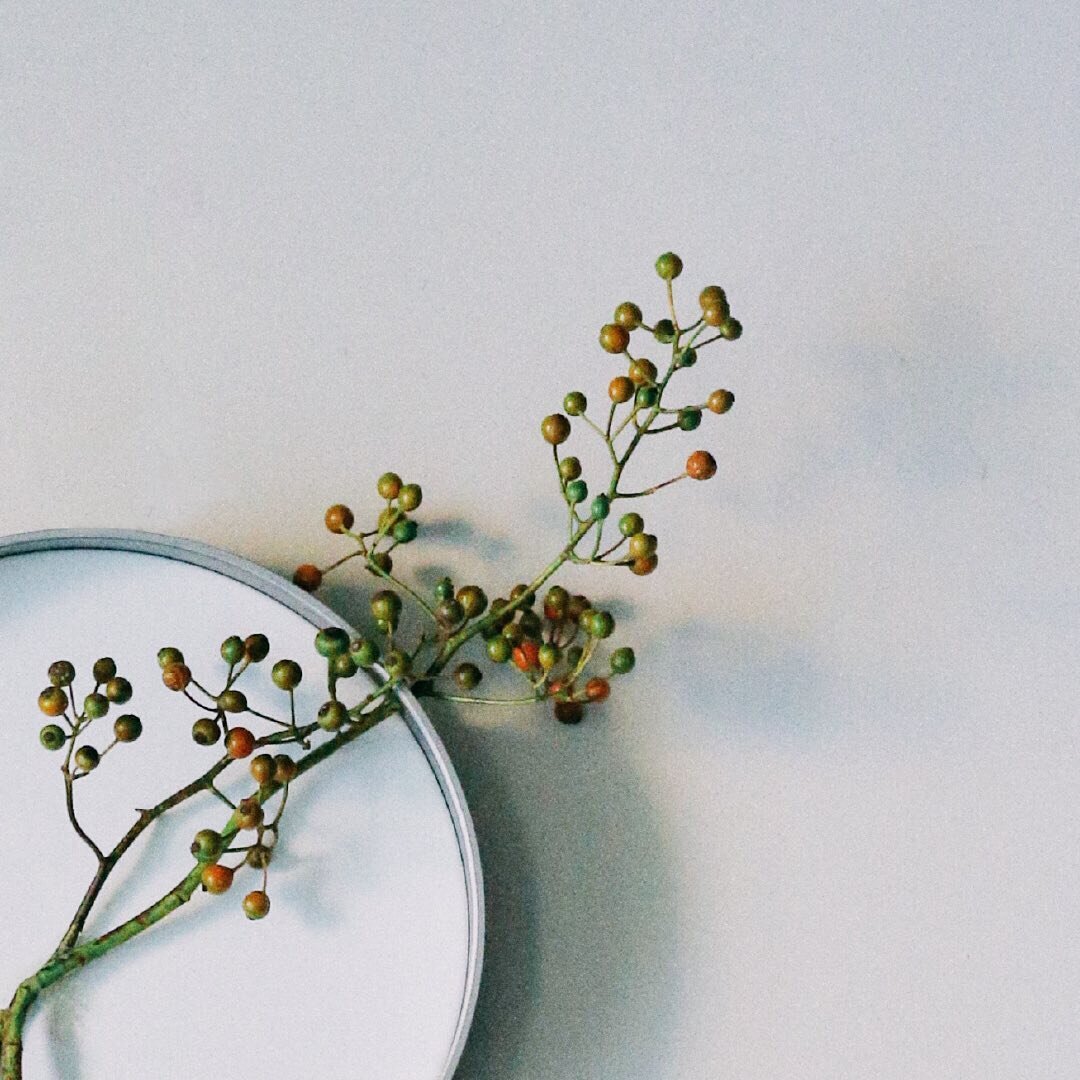 時を生ける
ONKUL limited edition
Pre Sale 

2020年10月23日(金)&ndash;25日(日)の期間
Holiday Circus 2020
BRAND PASSAGE EC site、および
Holiday Circus 2020 サテライト 2020 会場
（東京都世田谷区駒沢 3-1-15 1F）にて
先行発売をしております。

&mdash;&mdash;&mdash;&mdash;&mdash;&mdash;&mdash;&mdash;&mdash;&mdash;&mdash;

ファッション感度の高いユーザーに⠀
あらゆるシーンでご使用いただけるよう、⠀
マットな質感で落ち着いた印象に仕上げることで、⠀
より一層、花器として生ける植物が引き立つような⠀
カラーリングとなっています。

また、ご購入特典として「70cmの景色」と⠀
「ONKUL」のコラボレーションを記念した⠀
Wロゴ入りオリジナル風呂敷のプレゼントを⠀
ご用意しております。

今回特別につくられた「時を生ける」で、⠀
壁掛けの花器としてお好きな植物を飾るなどして、⠀
ご自宅で素敵な空間を演出してみては⠀
いかがでしょうか。
⠀⠀
&mdash;&mdash;&mdash;&mdash;&mdash;&mdash;&mdash;&mdash;&mdash;&mdash;&mdash;
⠀ 
#70cmの景色 #kesiki70 #インテリア雑貨
#花器 #ドライフラワー #時を生ける ⠀
#おうち時間を楽しむ.