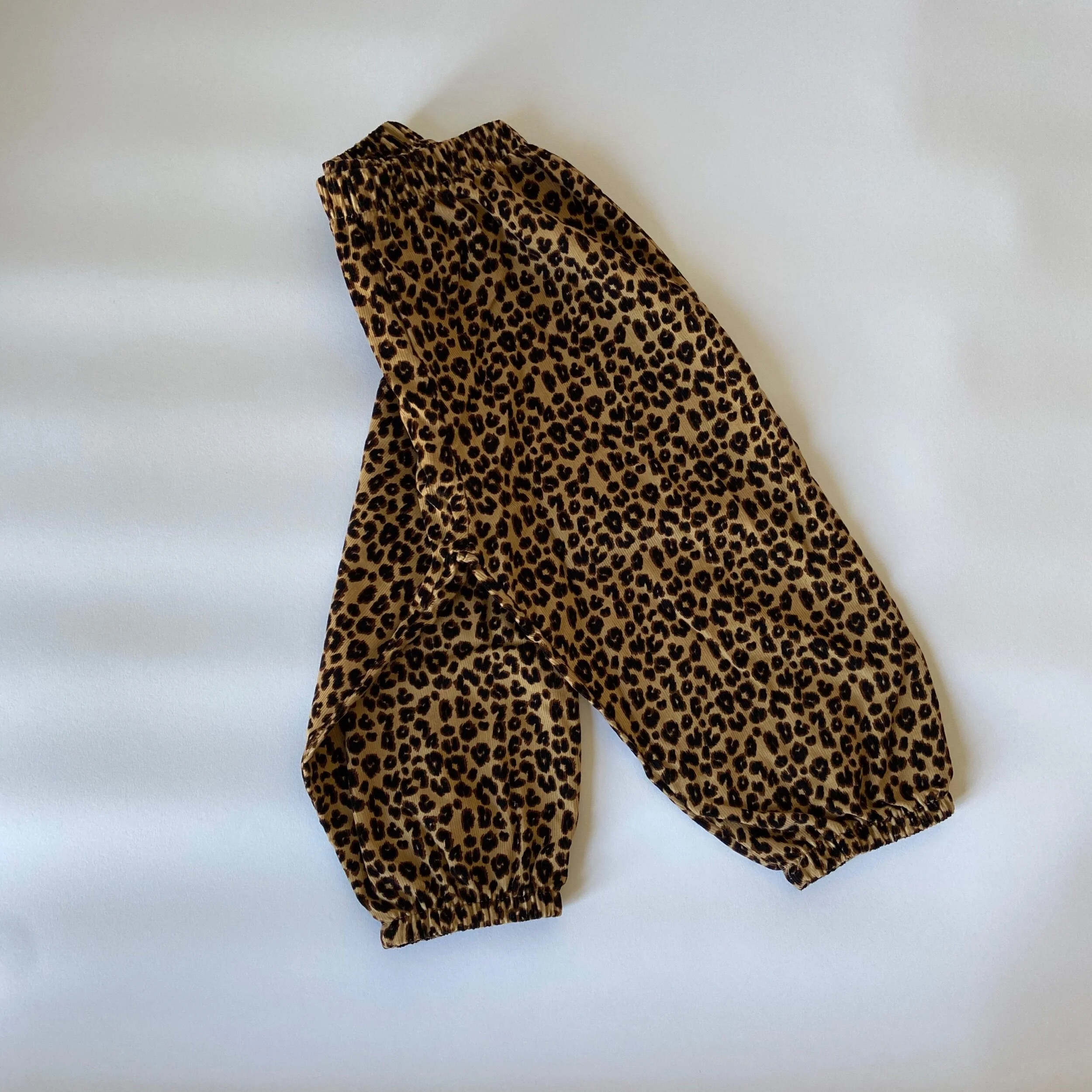 2DEEA20C-BCB7-44F6-BC6B-3759FFA4F489