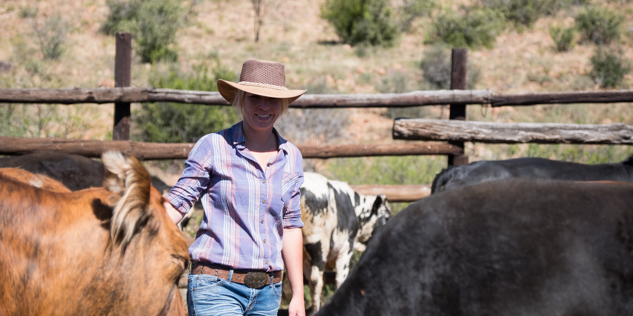 Women in Ag: Animal Health in Dry Times