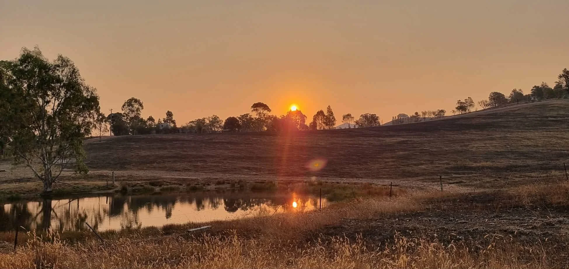 Resources for Community Through the 2026 Victorian Bushfires