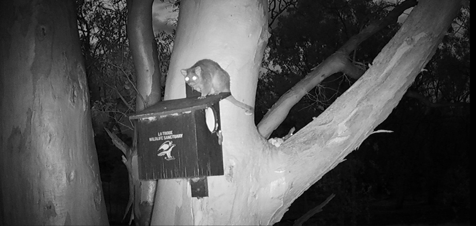 Screenshot 2026-02-16 104555.jpg