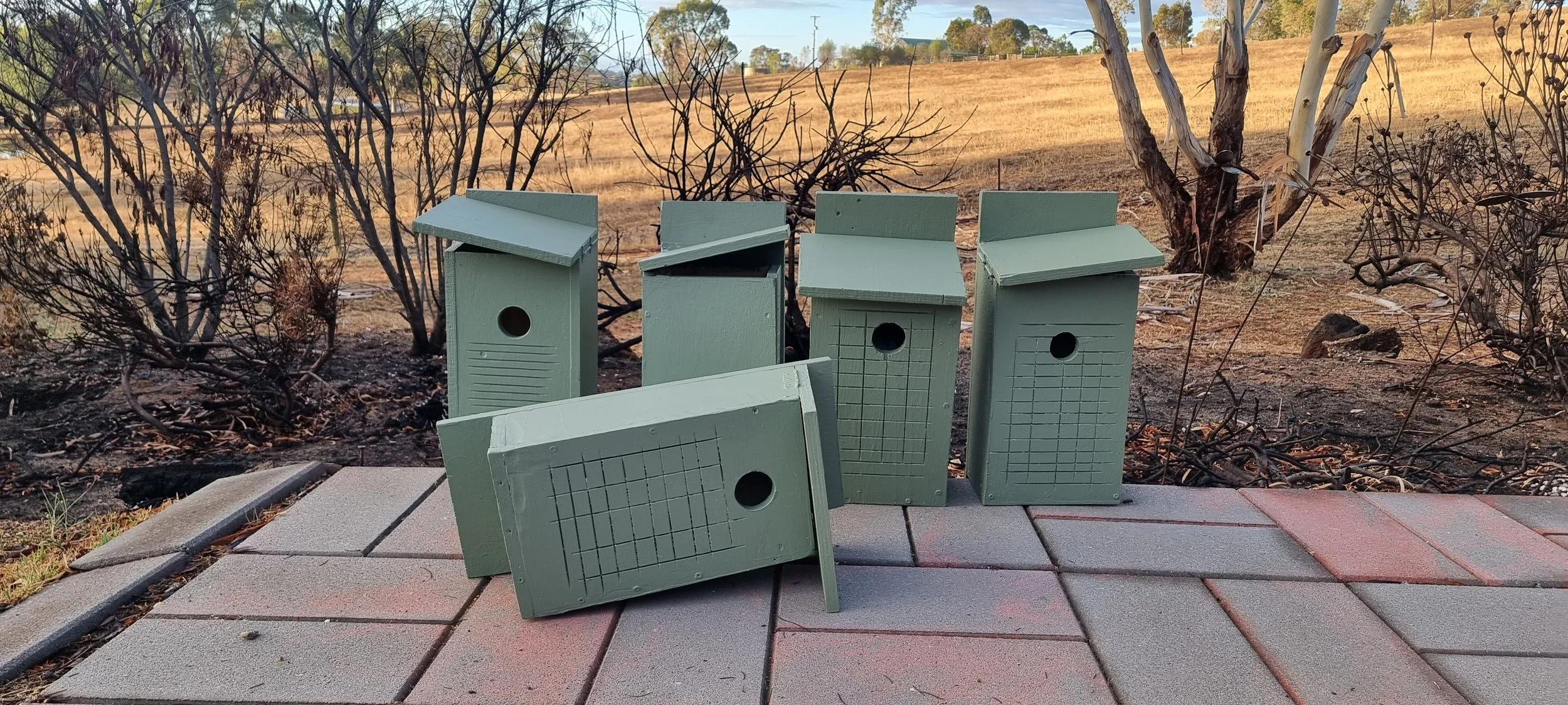 Nest Boxes for Fire-Affected Wildlife: A Community Collaboration