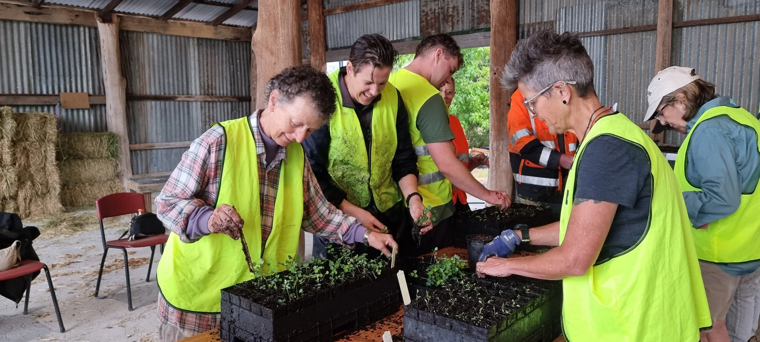 Growing Together: MASS &amp; Up2Us Volunteer Morning