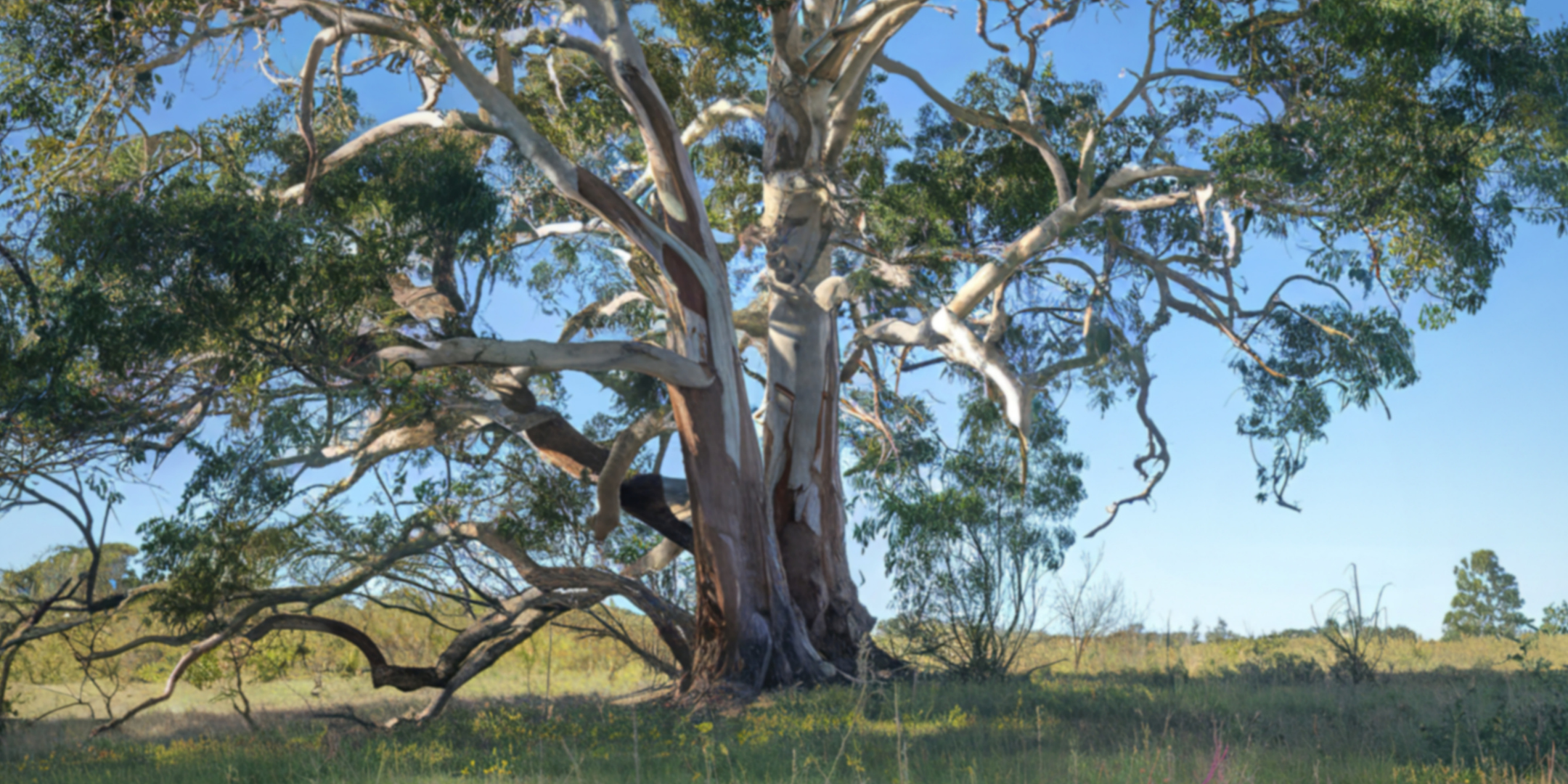 Women in Ag: Biodiversity on Farms with ANU