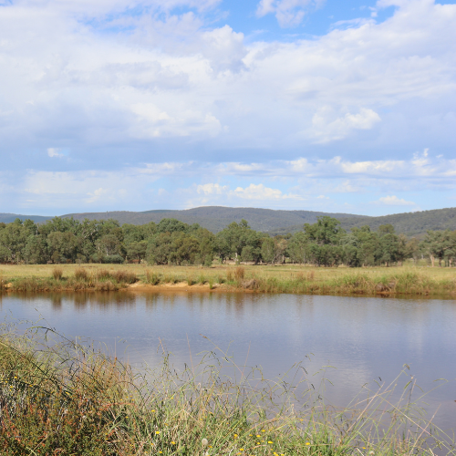 Natural Assets on Farm