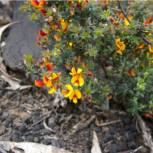 Biodiversity on Farm