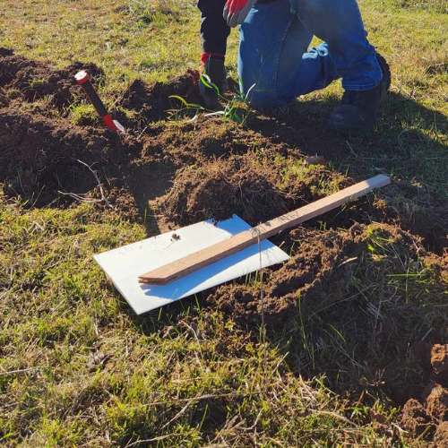 Soil Health