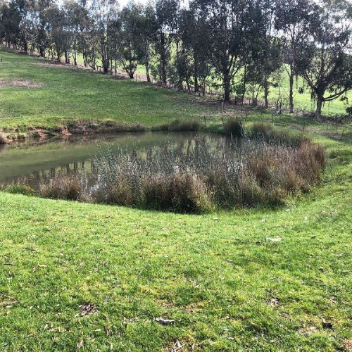 Dams and Waterways