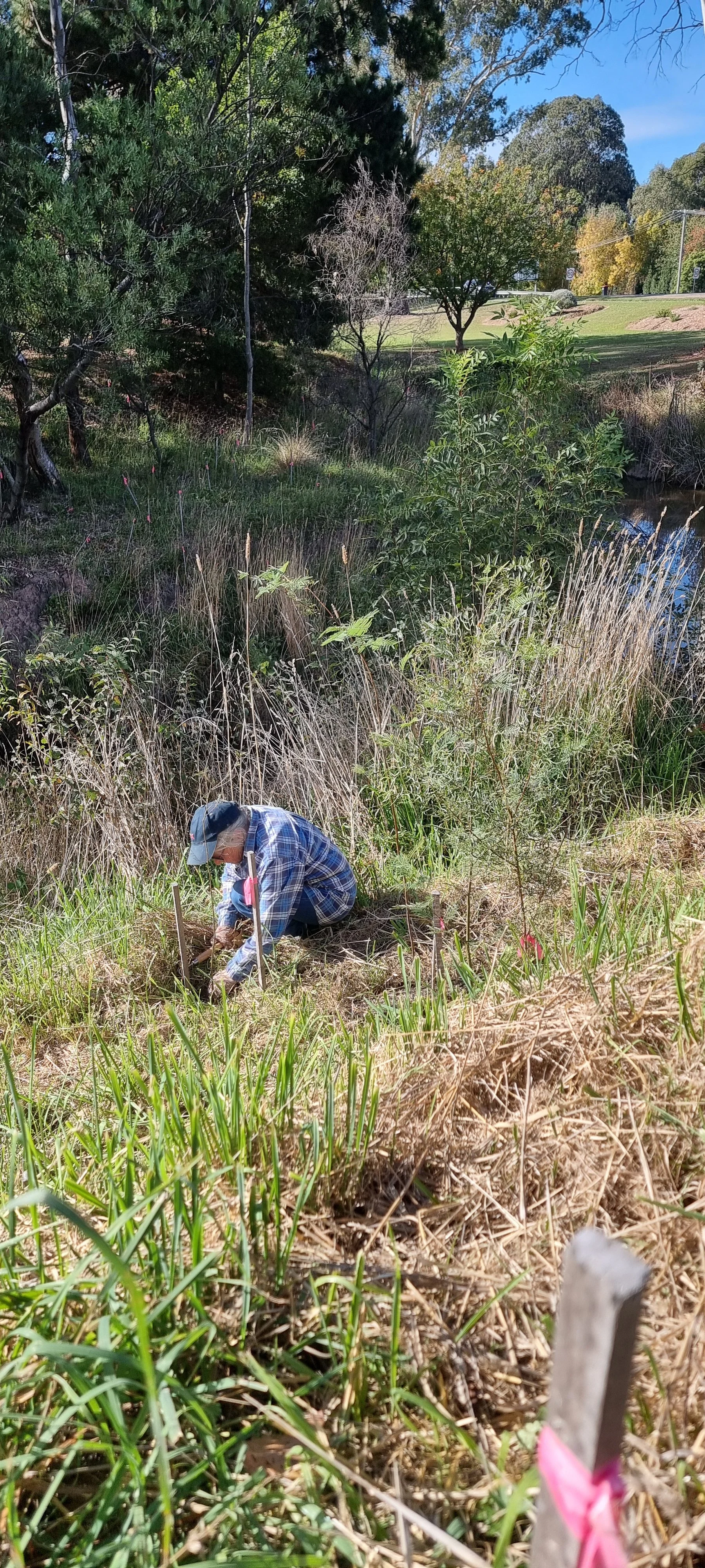 First Volunteer Session of the Year at Fords Creek 