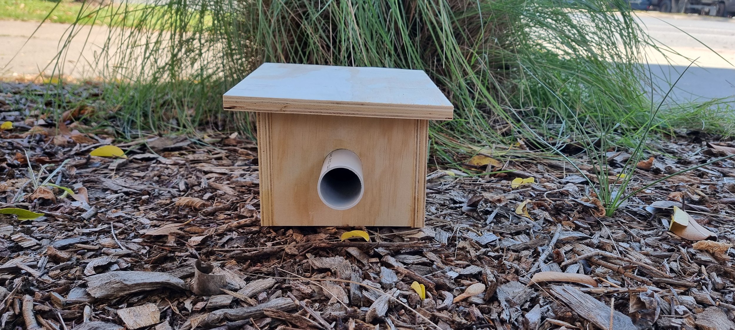 Nest Boxes and Native Birds: Hands-On Learning with Merrijig Primary School