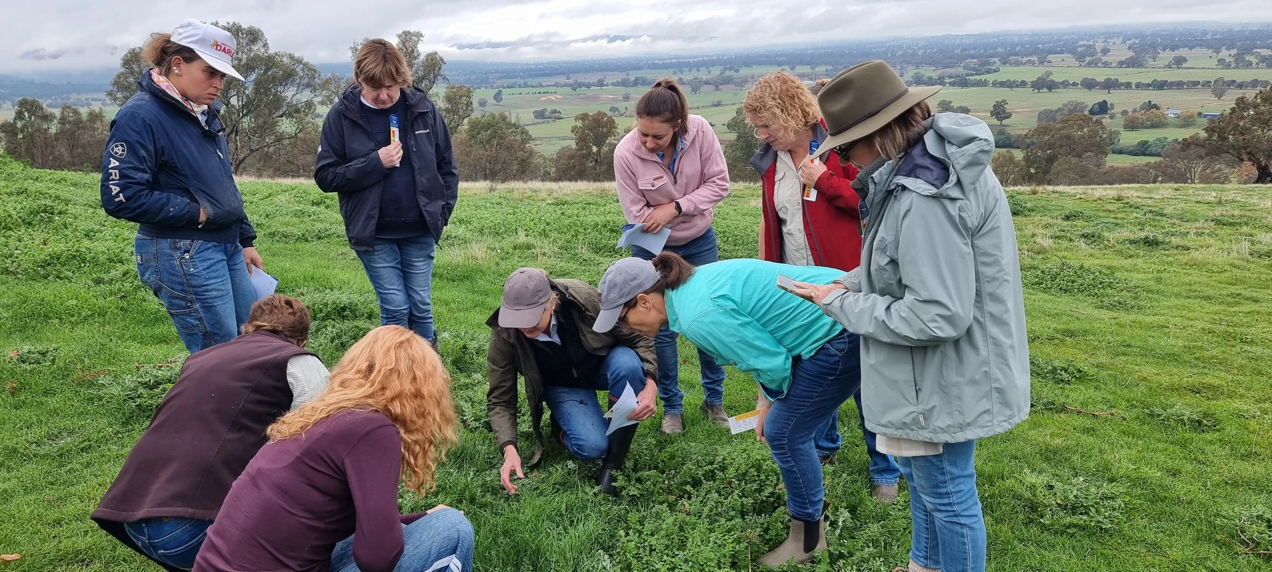 Women in Ag: Feeding Livestock in Dry Times
