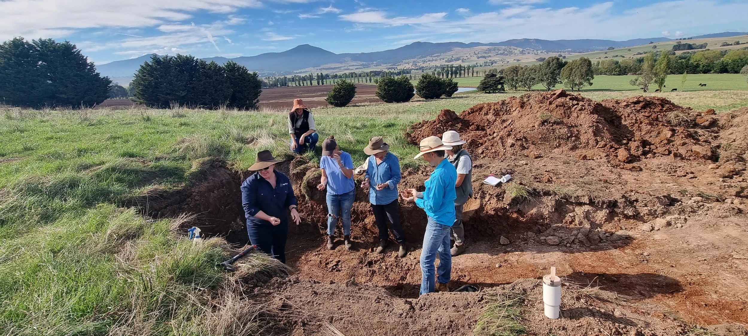 Soil Health Webinar with Dr Cassie Schefe