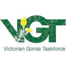 VGT image.jpg