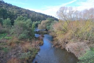 Forty Years of Landcare: A Founding Member Remembers