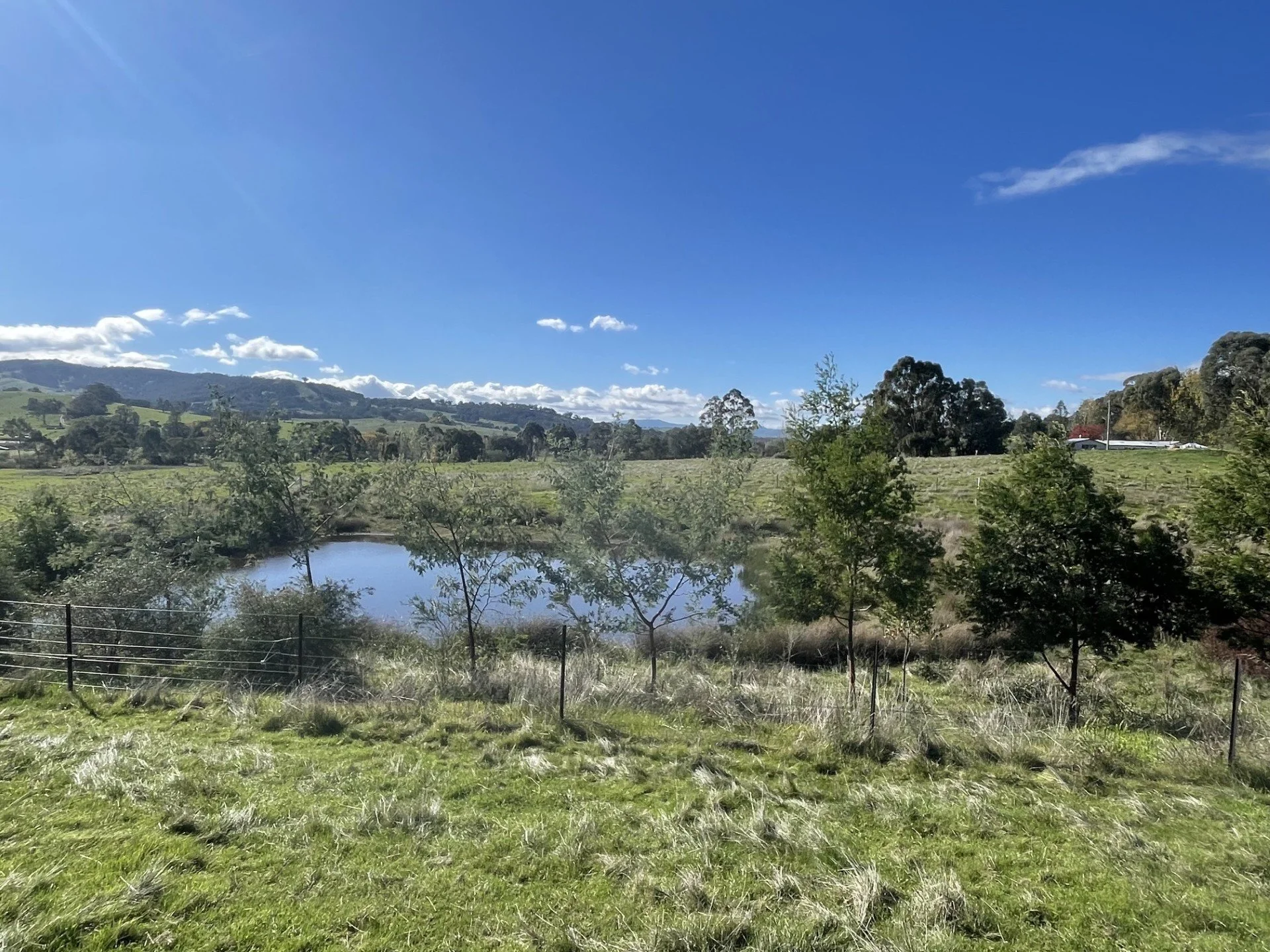 A Dam Transformed
