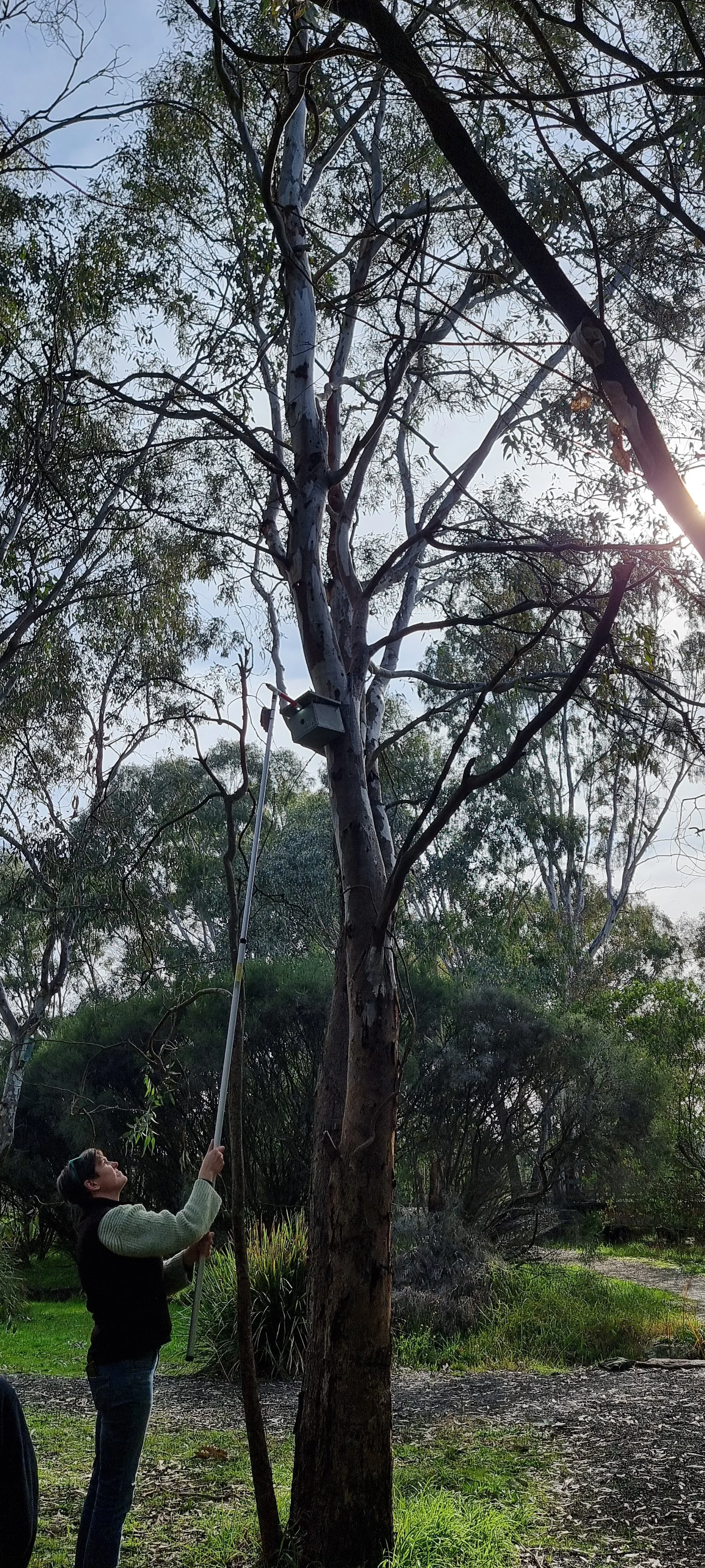 20260720_125142.jpg