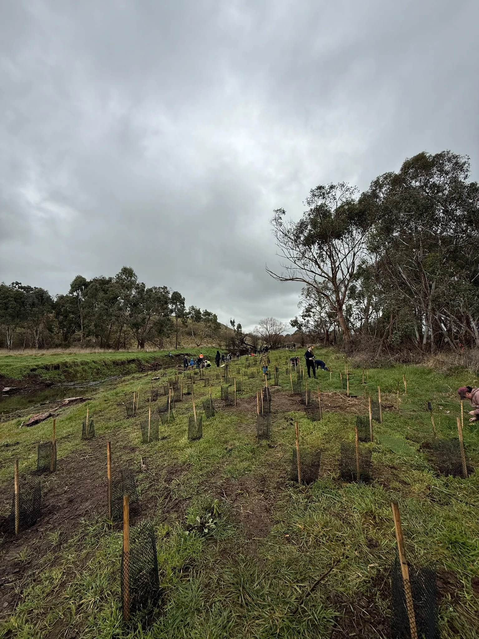2026 National Tree Day, Paxton’s Reserve 