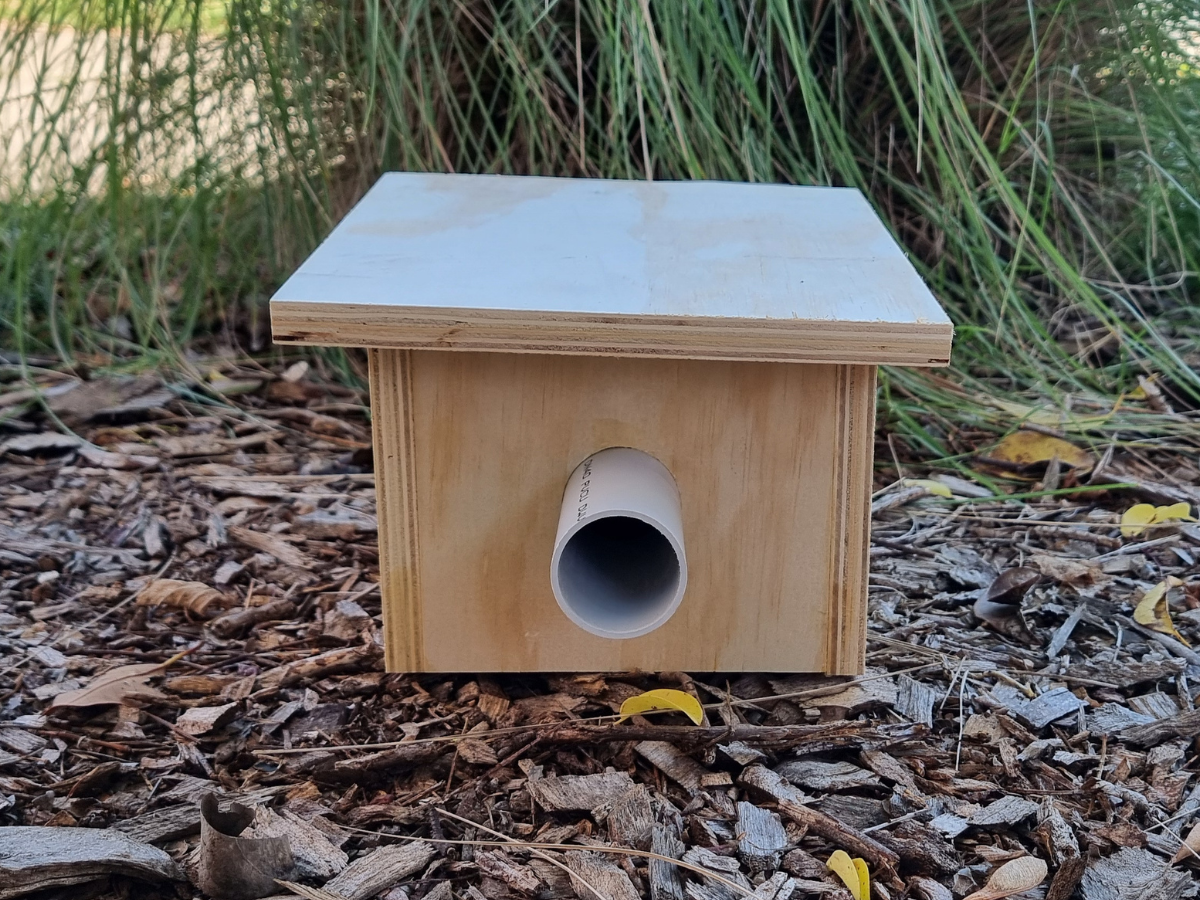 Nest boxes for our native wildlife