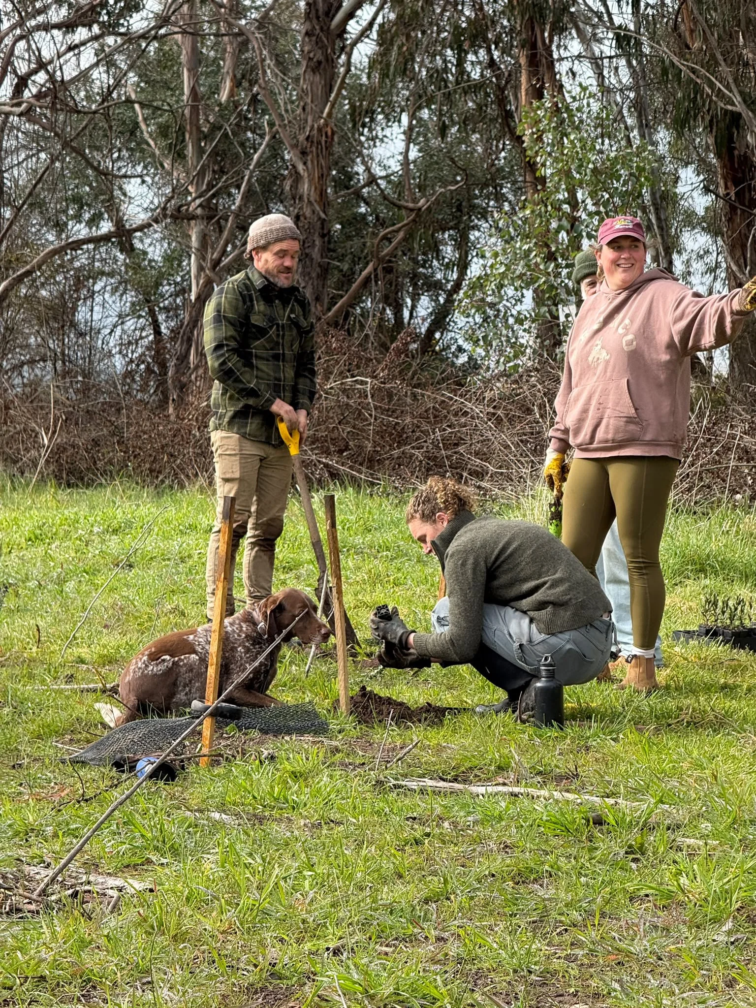 It's Landcare Week — and there's a lot to celebrate in Mansfield