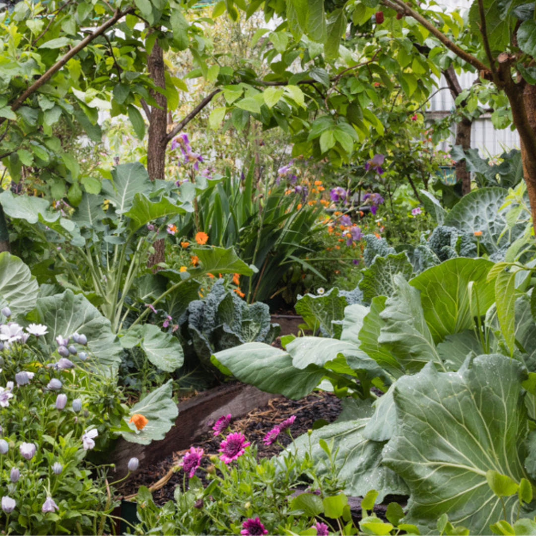 Permaculture: More Than Just Growing Food