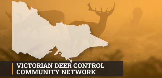 Vic Deer Control Community Network Newsletter Out Now