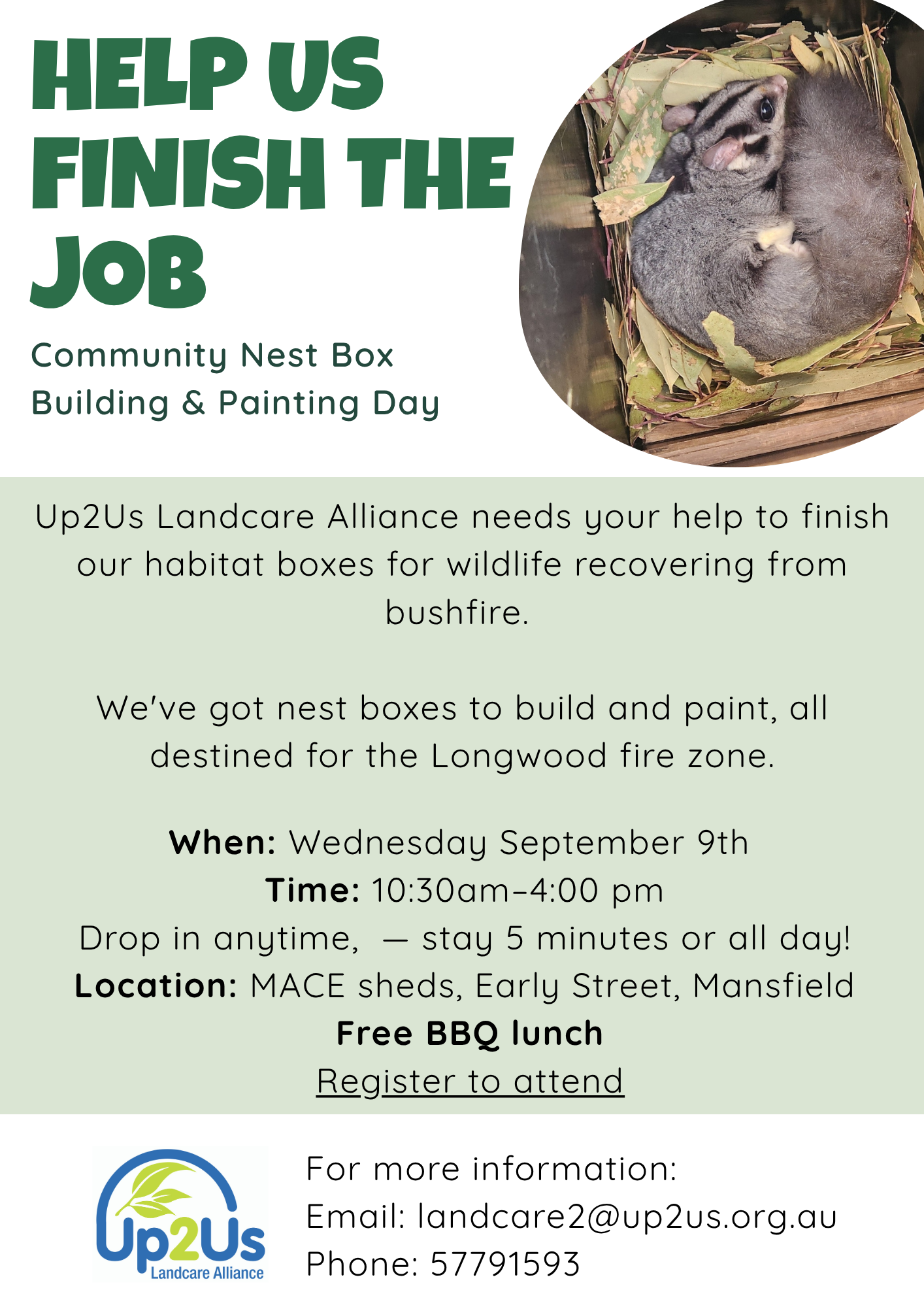 Community Nest Box Building & Painting Day