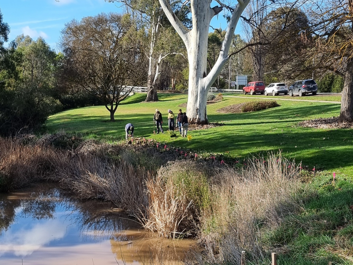 Working Together to Care for Ford’s Creek