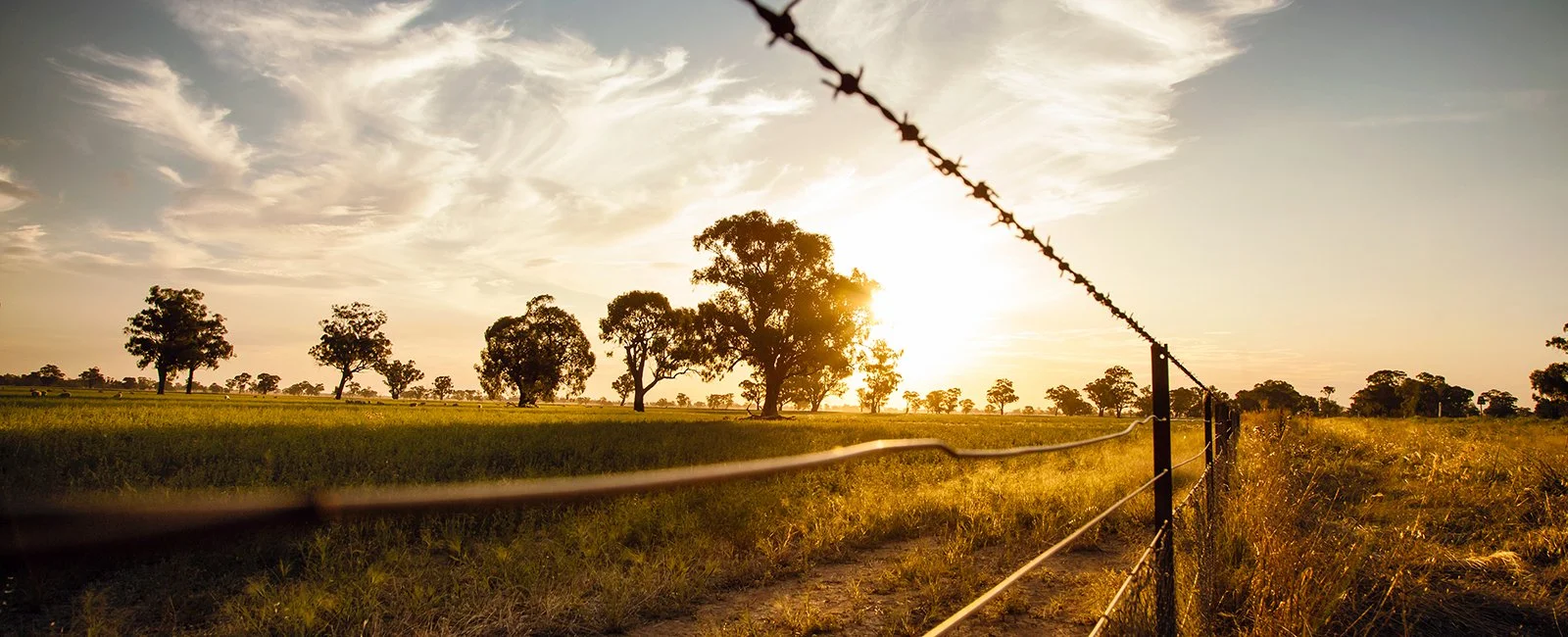 Get Farm Fire Ready This Season