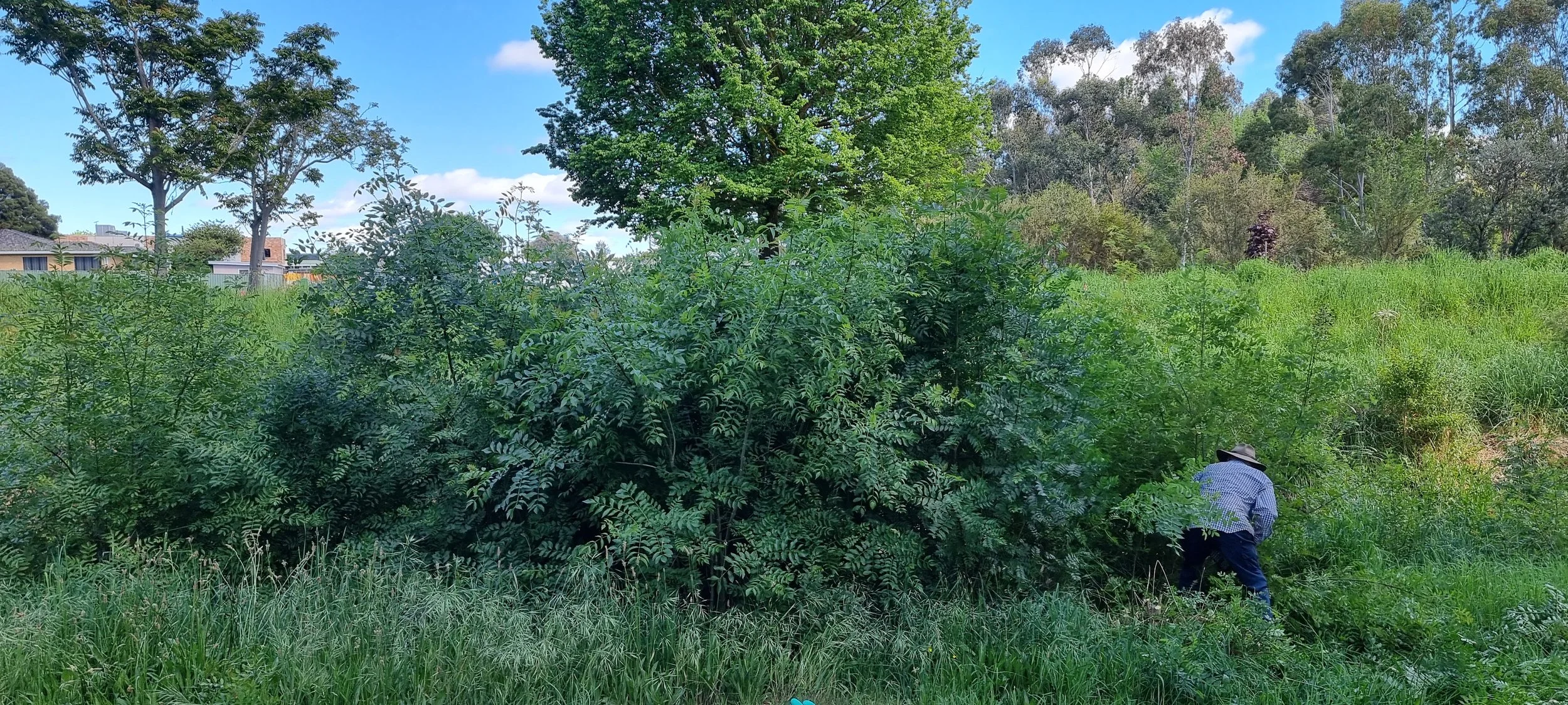 20261028_101940.jpg