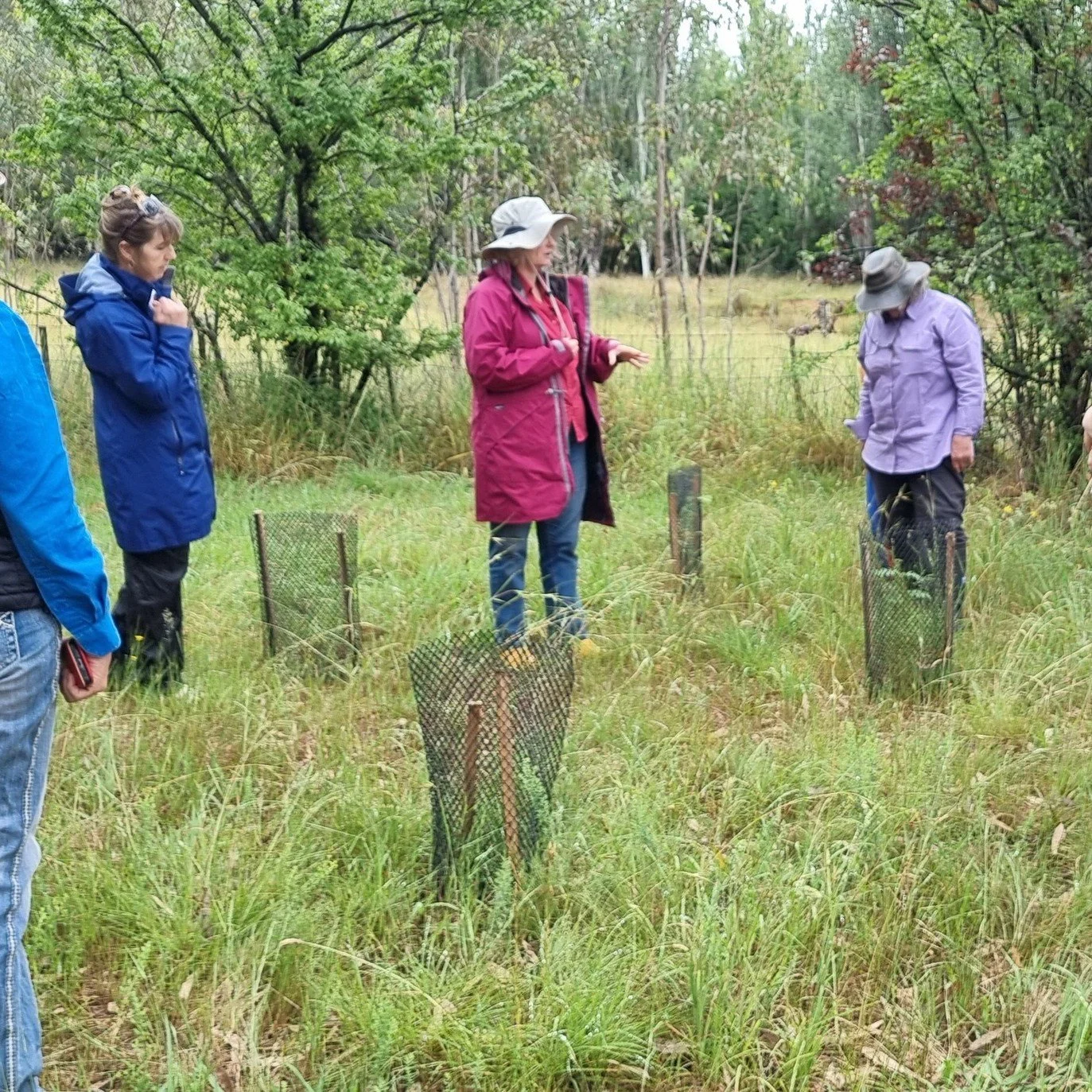 Native Grass Day — Up2Us Landcare Alliance