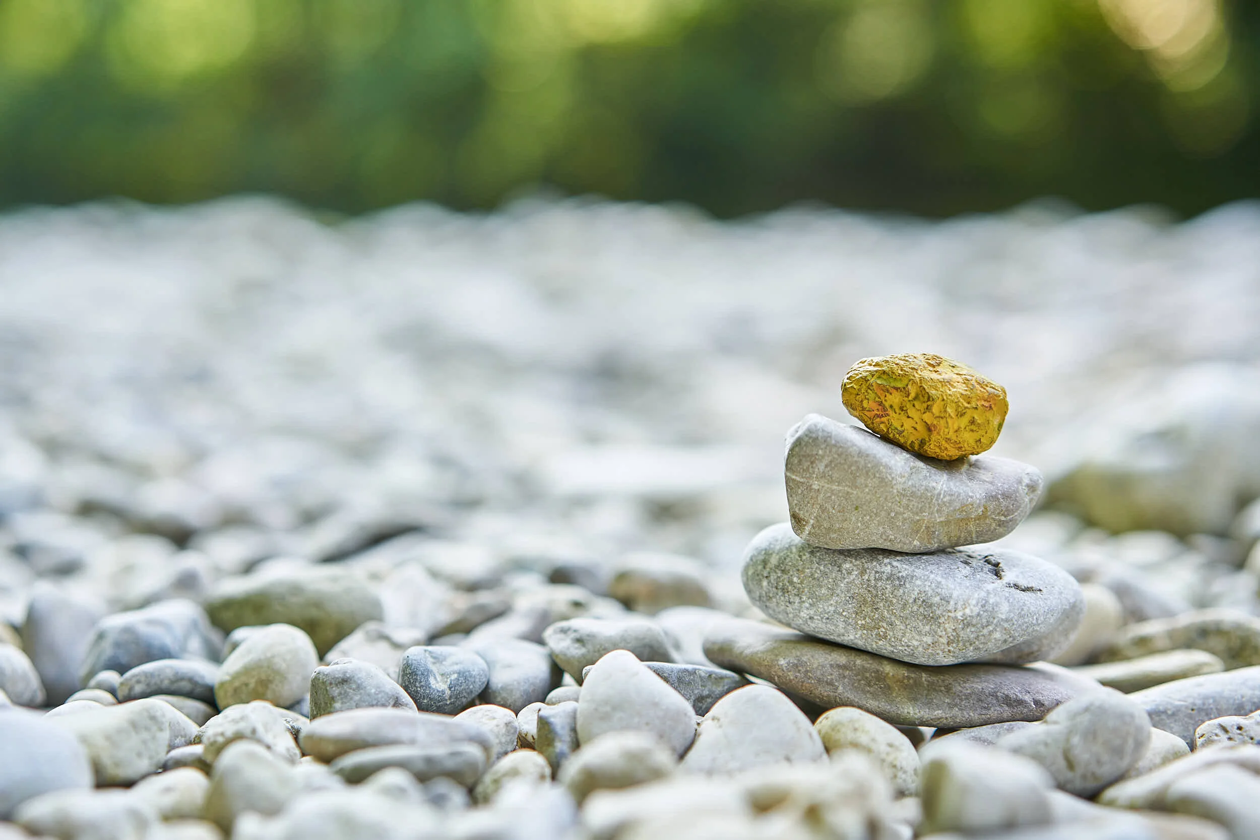 embodied-mind-diversity-trans-cultural communication.jpg