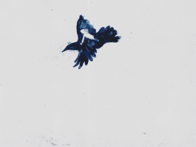 Adobe Express - watercolour bird section.gif