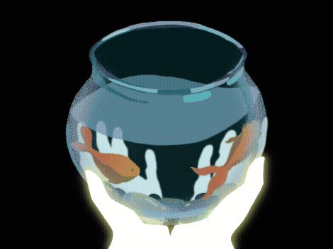 Adobe Express - fish bowl and window (1).gif