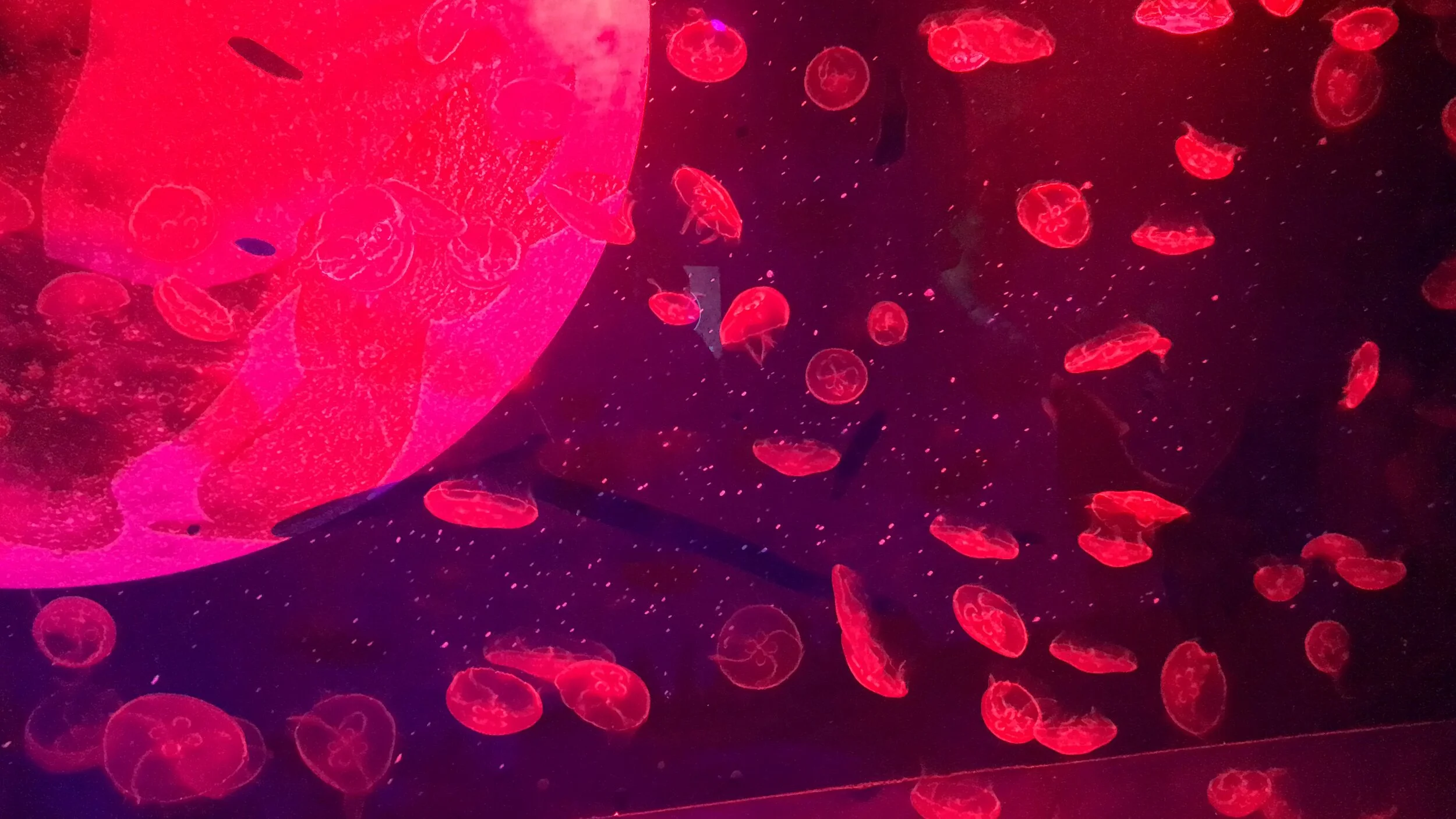 February 2019 - Ch Ch Ch Changes