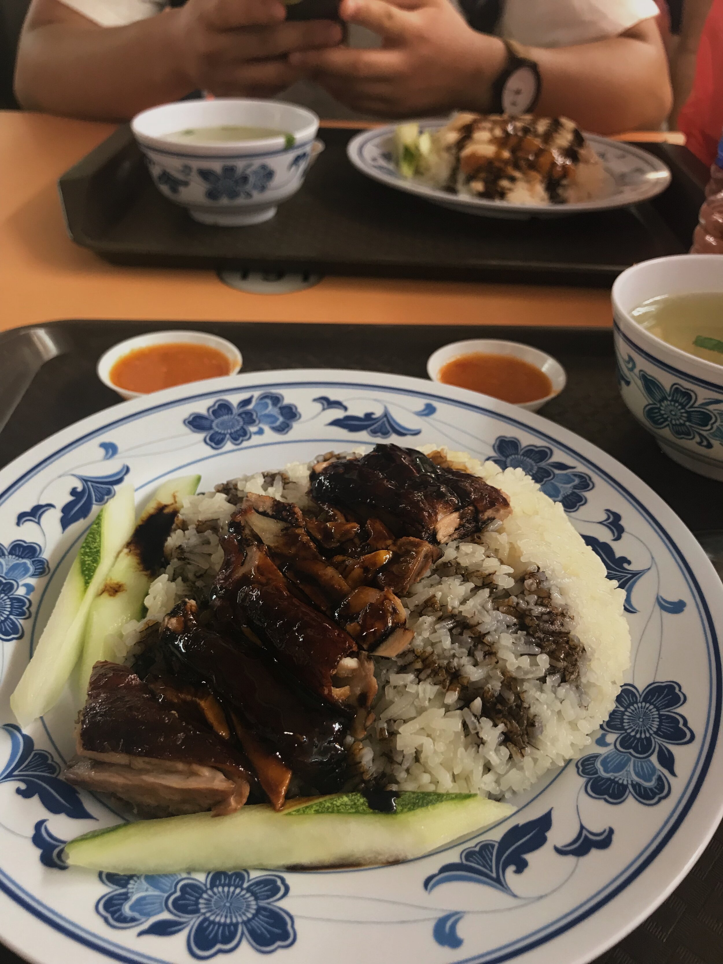 roasted duck over rice