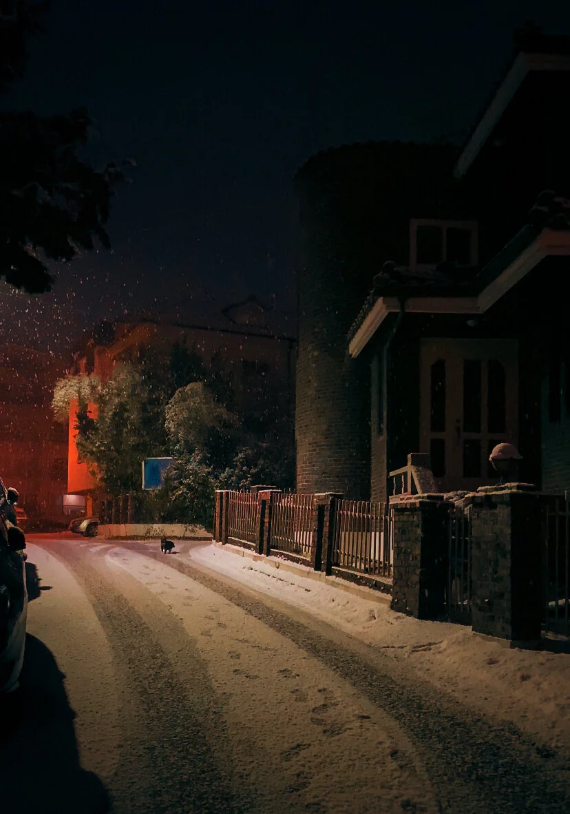 January 2021: Hopeful-Desperate