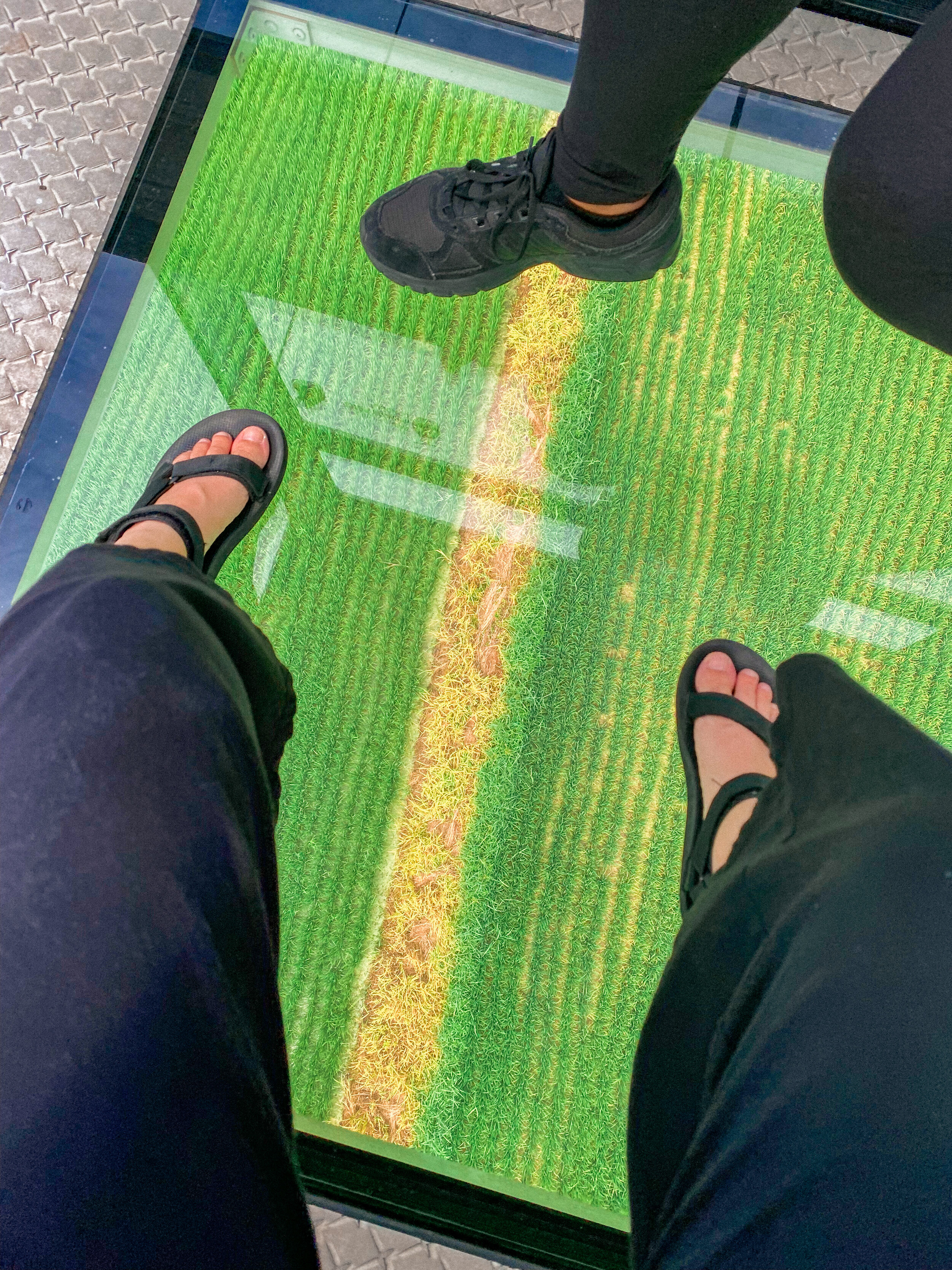 giving the internet a free feet pic; have i mentioned i hate glass bottom cable cars?
