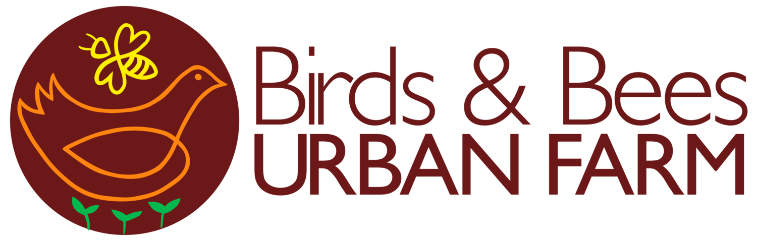 Birds & Bees Urban Farm