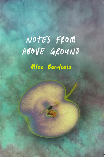 Maine Chapbook Series Launch Party & Reading