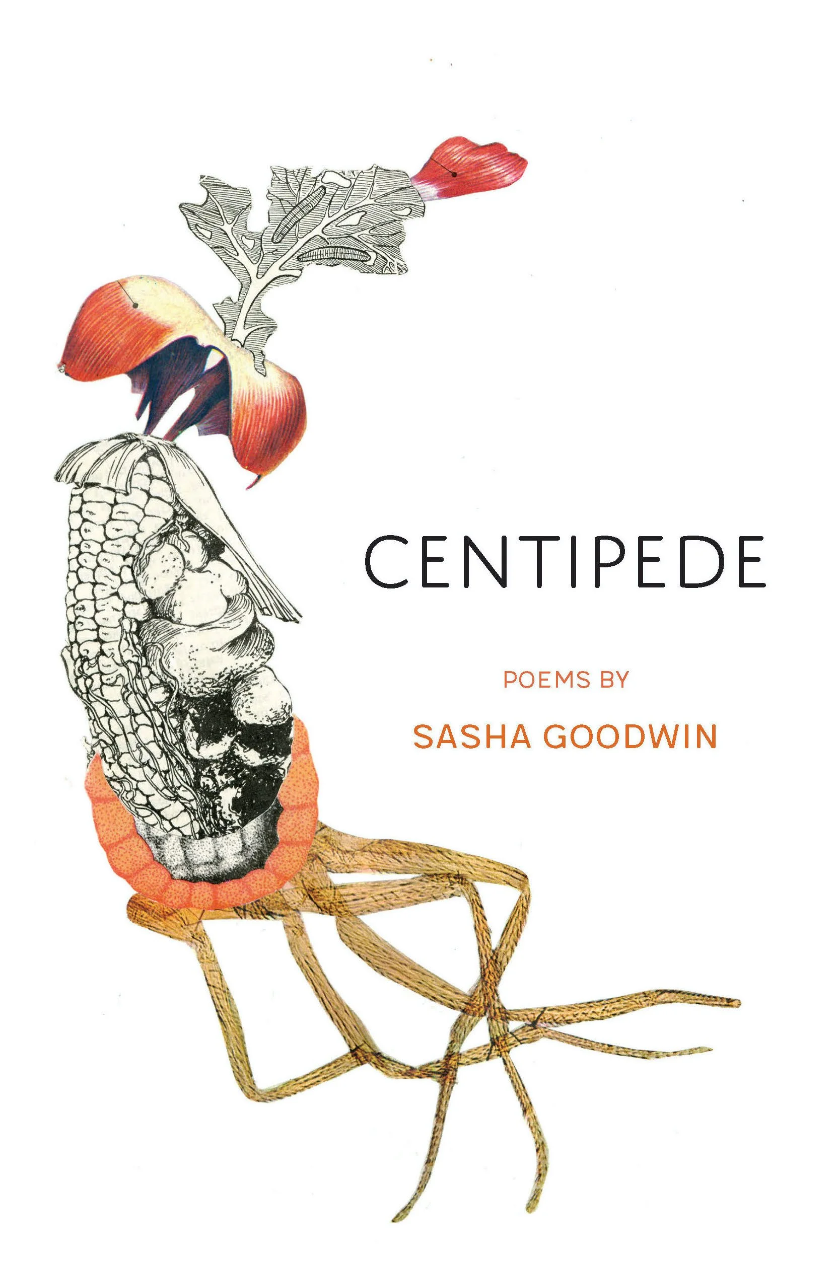 Centipede_Front_Cover.jpg